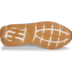 Best Hispanitas - KANSAS-HV253919