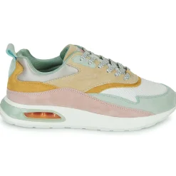 Sale HOFF - GRIFFITH