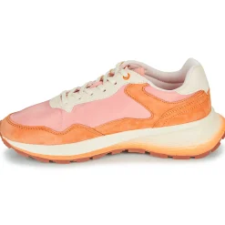 Sale HOFF - PARIS II