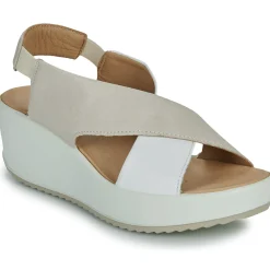 Clearance IgI&CO - 5668811