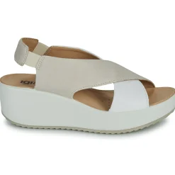 Clearance IgI&CO - 5668811