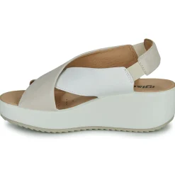 Clearance IgI&CO - 5668811