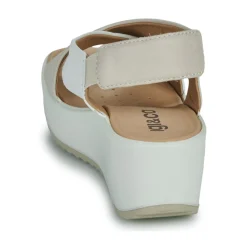 Clearance IgI&CO - 5668811