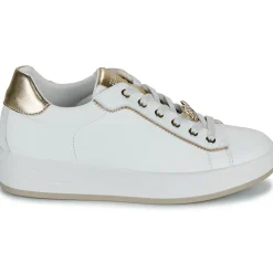 Best IgI&CO - D.ALINA