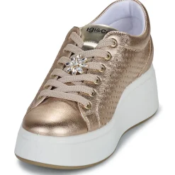 IgI&CO - D.ALLY Doré