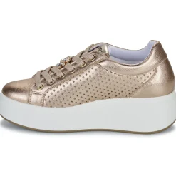 IgI&CO - D.ALLY Doré