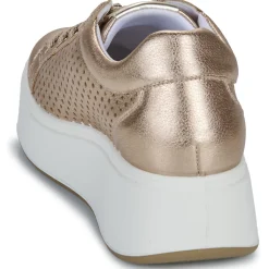 IgI&CO - D.ALLY Doré