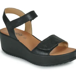 Hot IgI&CO - D.CANDY Noir