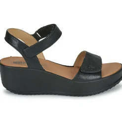 Hot IgI&CO - D.CANDY Noir