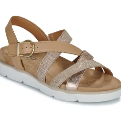 Discount IgI&CO - D.DELIA