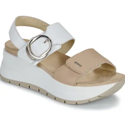 Clearance IgI&CO - D.SIRENA