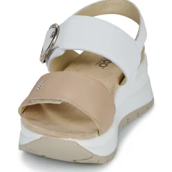 Clearance IgI&CO - D.SIRENA