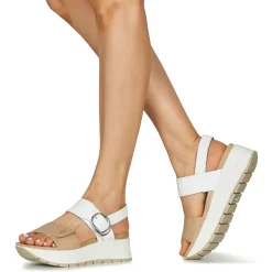 Clearance IgI&CO - D.SIRENA