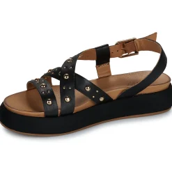 Discount Inuovo - A96042 Noir