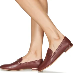 Best JB Martin - ALBI Marron