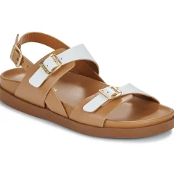 Best JB Martin - AURA