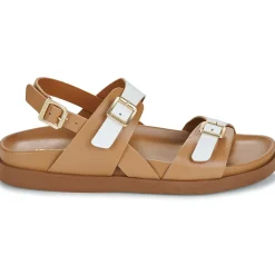 Best JB Martin - AURA