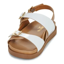 Best JB Martin - AURA