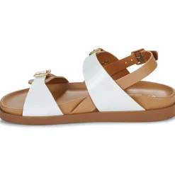 Best JB Martin - AURA