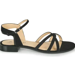 Sale JB Martin - BAOLI Noir