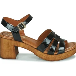 JB Martin - DALLIA VERNISNOIR