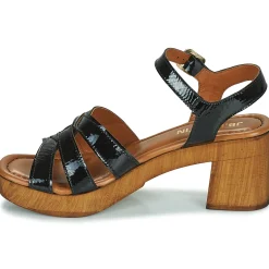 JB Martin - DALLIA VERNISNOIR