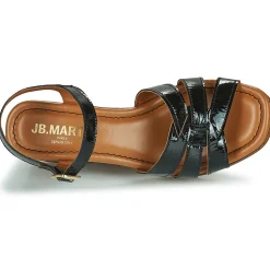 JB Martin - DALLIA VERNISNOIR