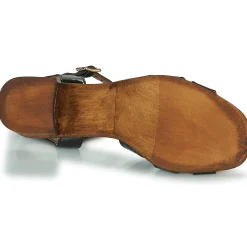 JB Martin - DALLIA VERNISNOIR