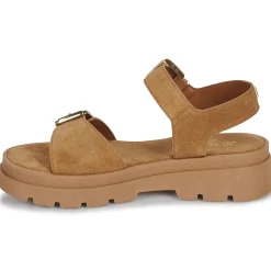 Best JB Martin - DELIA Croûtecamel