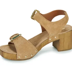 Hot JB Martin - DONA Croûtecamel