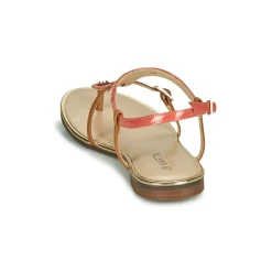 Discount JB Martin - GAELIA Corail