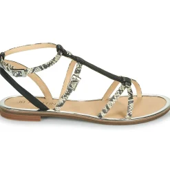 Best JB Martin - GRIOTTES