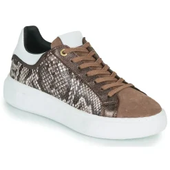 Best JB Martin - HIBISCUS MIXPYTHONMARRON