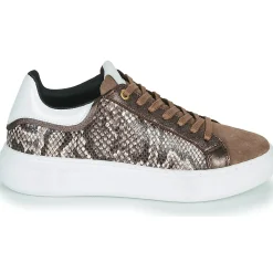 Best JB Martin - HIBISCUS MIXPYTHONMARRON