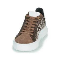 Best JB Martin - HIBISCUS MIXPYTHONMARRON