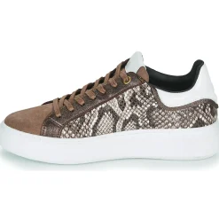 Best JB Martin - HIBISCUS MIXPYTHONMARRON