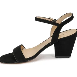 Discount JB Martin - NORI Noir