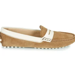 New JB Martin - TABATA Marron