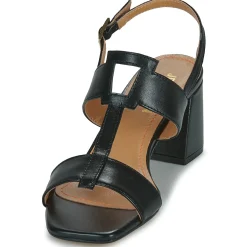 Best JB Martin - VITALIE Nappanoir