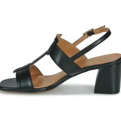 Best JB Martin - VITALIE Nappanoir