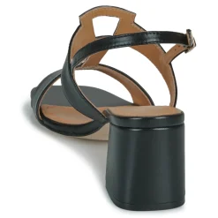 Best JB Martin - VITALIE Nappanoir