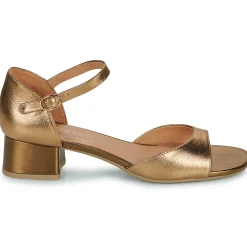 Karston - AMBER Doré