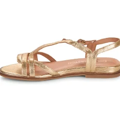 New Karston - SOBIO Doré