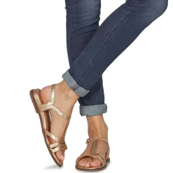 New Karston - SOBIO Doré