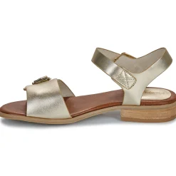 Discount Kickers - BUCIDI Doré