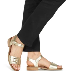 Discount Kickers - BUCIDI Doré