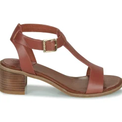 Sale Kickers - KICK VOLGA Marron