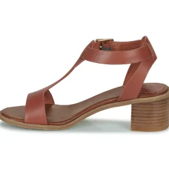 Sale Kickers - KICK VOLGA Marron