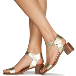 Discount Kickers - VOLOU Doré