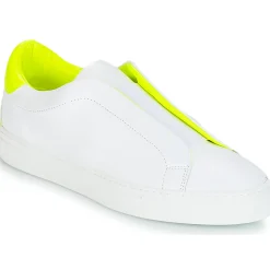 Clearance KLOM - KISS